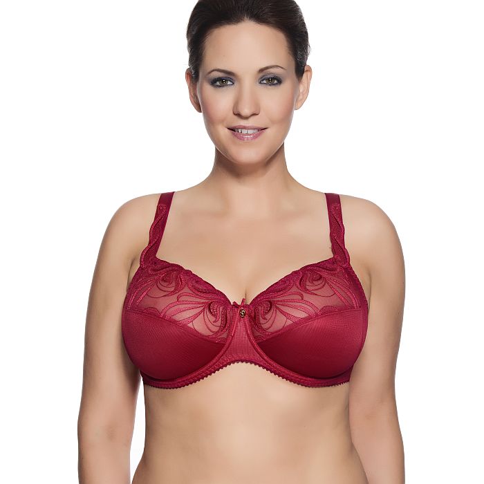 http://www.goodly-lingerie.co.uk/out/pictures/master/product/1/2523_rot.jpg